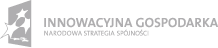 Innowacyjna Gospodarka Narodowa Strategia Spójności